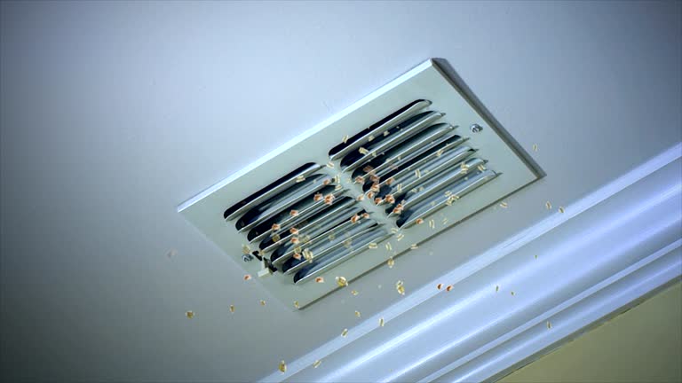 Best Air Duct Cleaning Near Me  in Roosevelt, NY